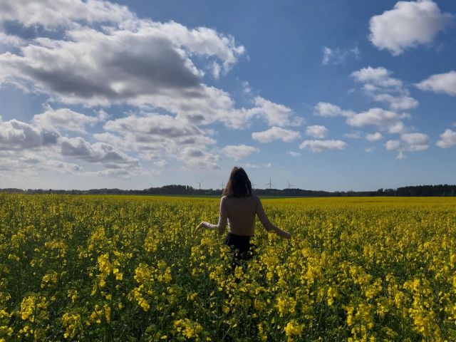 NattySweet Vorschaubild
