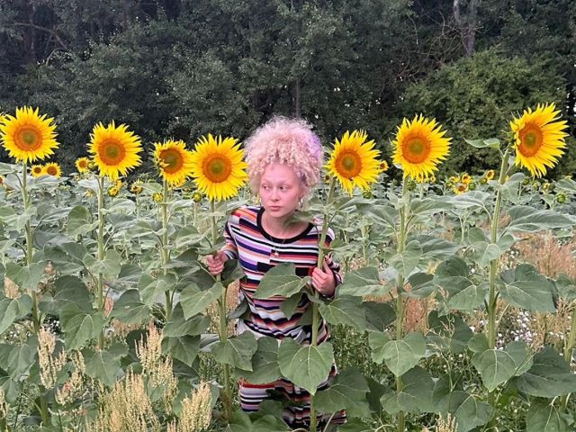 blondeSusan Vorschaubild